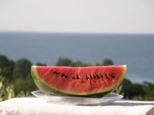 Orfeas -Vacation Home Olympos Greece