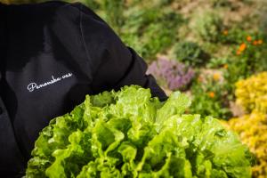 Panonska Vas Apartments