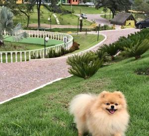 Parque Do Avestruz Eco Resort