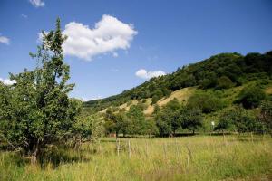 Moseltraum-Villa Kenn bei Trier