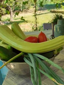 Apartman Bowie & Apartment Morgan