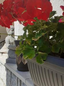 Apartman Bowie & Apartment Morgan