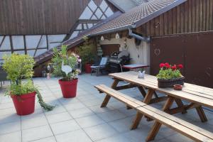 Appartements Gite Le Cep d'Or Alsace : photos des chambres