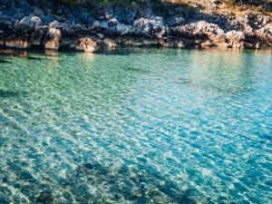 Pool Apartments Knežević Novalja