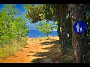 Your house at Thassos Thassos Greece