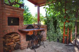 Casa Ralu Costinesti