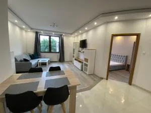 Old Town Apartment 1E - 埃尔布隆格