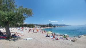 Znjanski vidici Franka