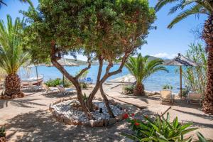 Tsifliki Beach House Lasithi Greece