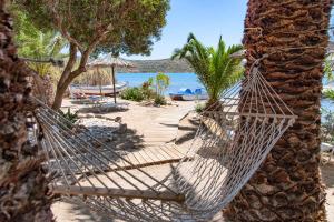 Tsifliki Beach House Lasithi Greece