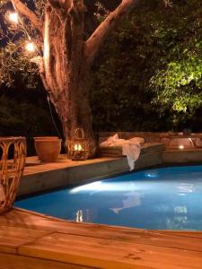 Villa Juli Guesthouse photo 9