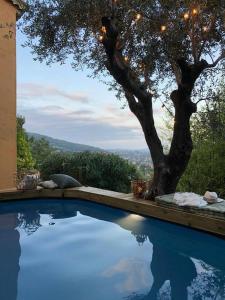 Villa Juli Guesthouse photo 6