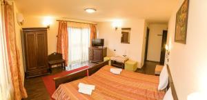 Twin Room room in Pensiune Diana