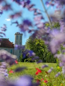 Villas Chateau les Estournels : photos des chambres