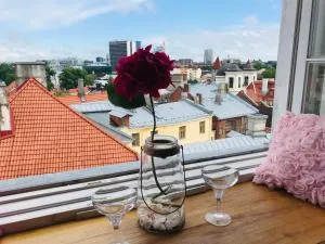 Cozy oldtown studio with magnific city view - Toompea