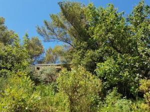 Maisons d'hotes Cabane dans les arbres 