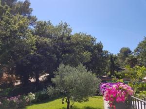 Maisons d'hotes Cabane dans les arbres 