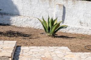 Segni Holiday Home img11