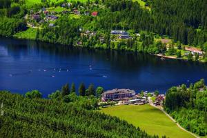 Maritim Titisee Hotel