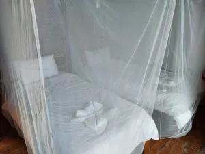 Chicuanga - Manjacaze