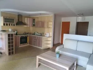 Adventure apartamentai - Jaskonys