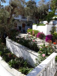 Olive Grove Apartment Skiathos Greece