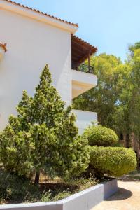 Fereniki Lemnos Suites