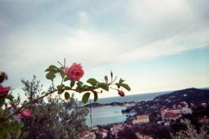 Maisons de vacances Reve d- Azur : Maison 1 Chambre