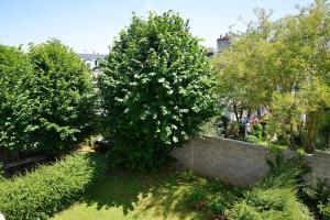 Appartements La glycine d'Honfleur : photos des chambres