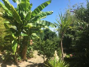 Appartements Au Nid de Cigogne : photos des chambres