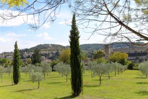 B&B / Chambres d'hotes Les Tilleuls d'Elisee : photos des chambres