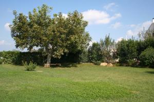 Terra Sessana Ville e Trullo con piscina privata