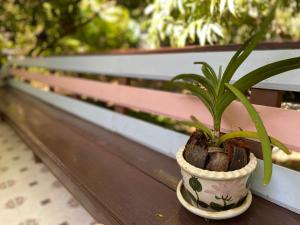 Warakorn Baansuan Amphawa