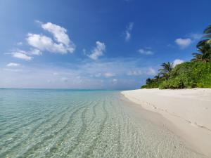 Summer inn Thoddoo