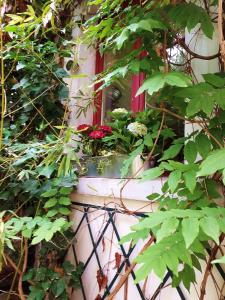 lapetitemaisondeparis