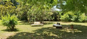 AU BORD DE L'ALZON photo 18