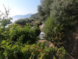 Camping Jungle in Borsh