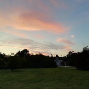Maisons d'hotes Chateau des Salles : photos des chambres