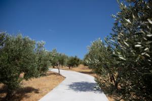 Triopetra Green Dream Rethymno Greece