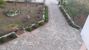 Apartment Viki