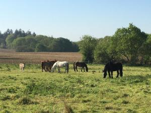 Domaine La Longre photo 24