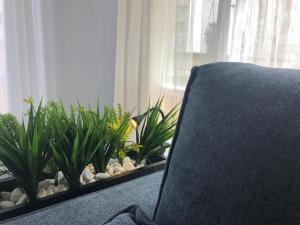 Alojamiento La Colonia