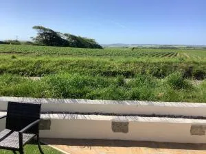 Cosy Cabin for two with country side views, near Kingsbridge - Loddiswell