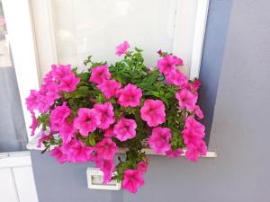 Le Casette di Nonna Rosa in Fontanarossa Catania Airport