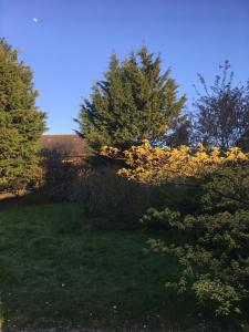 Domaine La Longre photo 12