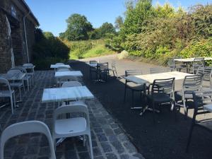 Domaine La Longre photo 6