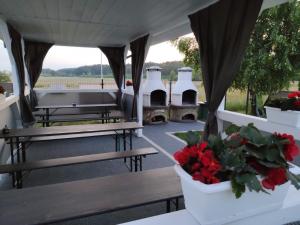 Aurora Ustka-Przewłoka