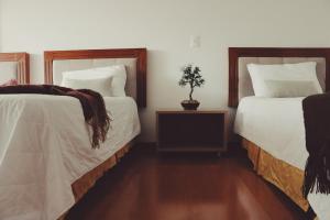 Hotel Solaris
