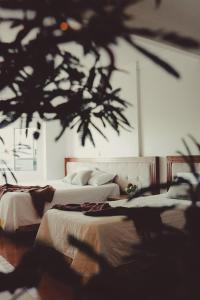 Hotel Solaris