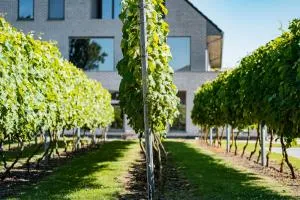 Abalona Hotel & Apartments - Berlare